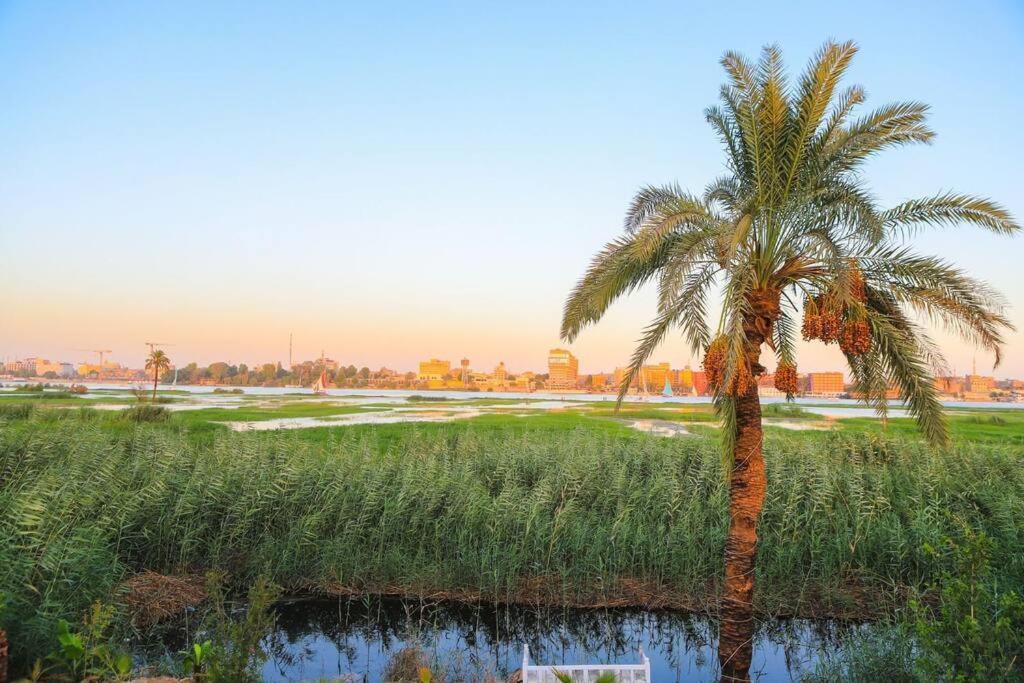 Royal Nile Villa - Nile View Apartment 1 Luksor Dış mekan fotoğraf
