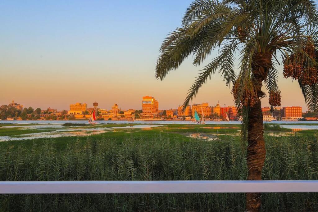 Royal Nile Villa - Nile View Apartment 1 Luksor Dış mekan fotoğraf
