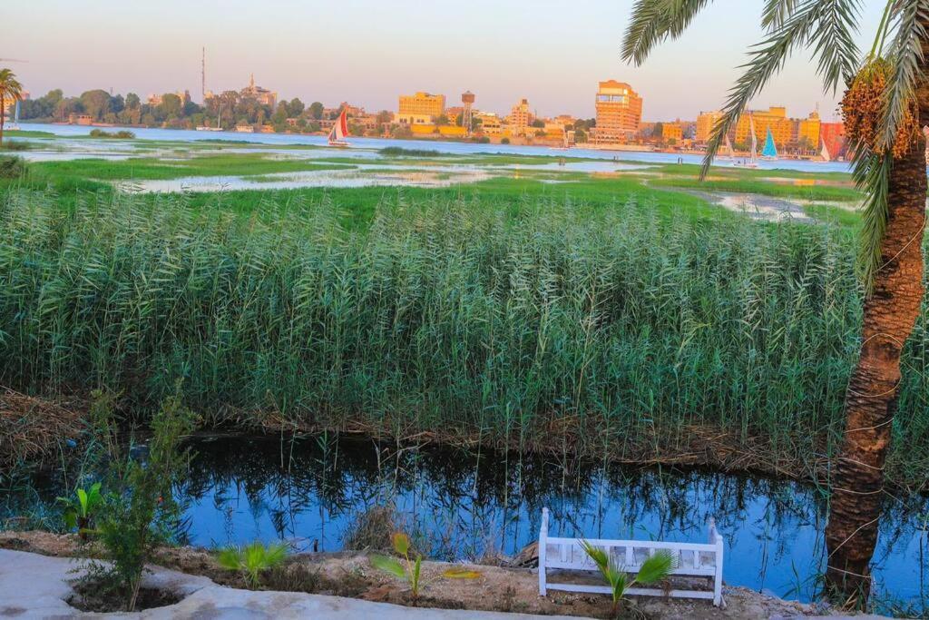 Royal Nile Villa - Nile View Apartment 1 Luksor Dış mekan fotoğraf
